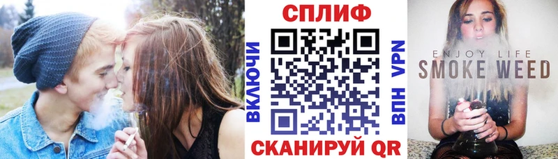 купить Судак Каннабис марихуана